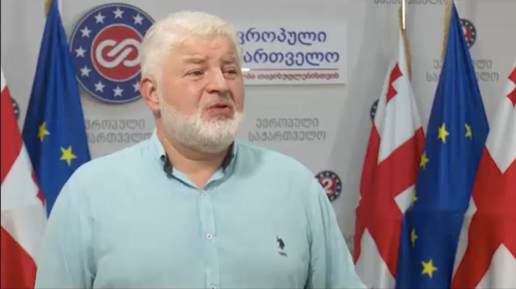 „ვერ აღიარეს, რაც სინამდვილეში მოხდა“ - დამენია „ევროპული საქართველოს“ წევრის შვილის საქმეზე