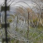 სუს: ოკუპირებულ სოფელ წინაგარას მიმდებარედ უკანონოდ დაკავებული საქართველოს მოქალაქე თავისუფალია