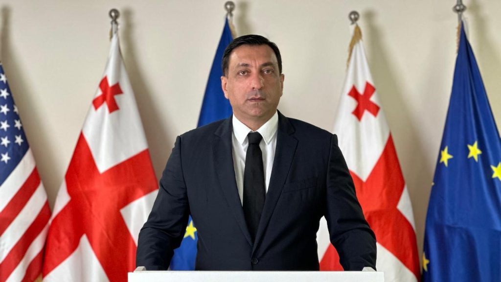 ენმ „ქართული ოცნების“ წინააღმდეგ საკონსტიტუციო სამართალწარმოების პროცესს იწყებს