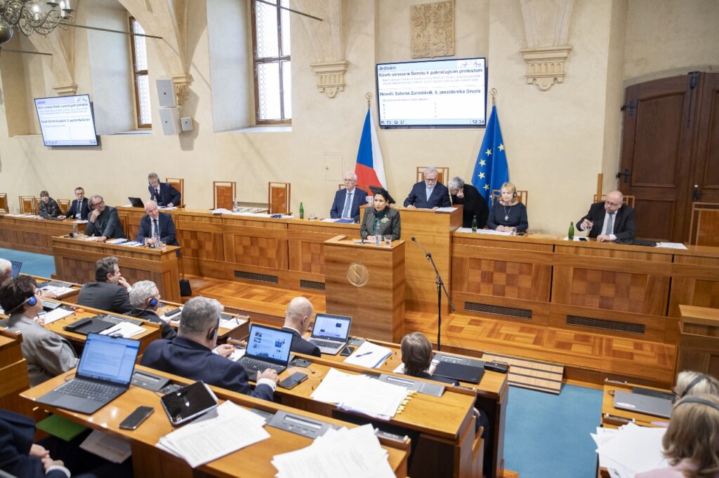ზურაბიშვილი: თუ საქართველოს დღეს ვერ დავიცავთ, შეიძლება ხვალ განსხვავებულ ევროპაში გავიღვიძოთ