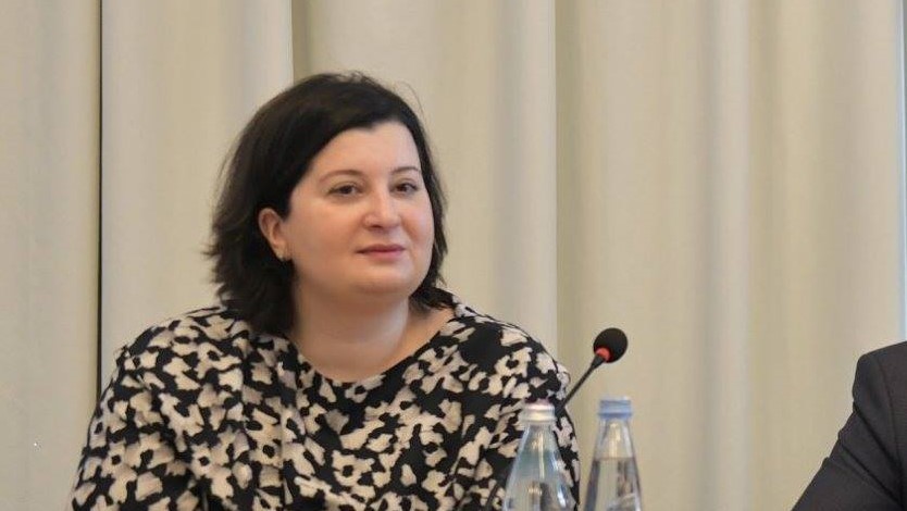 NGO-ების ბიუჯეტიდან დაფინანსების სააგენტოს თამარ ზოდელავა უხელმძღვანელებს