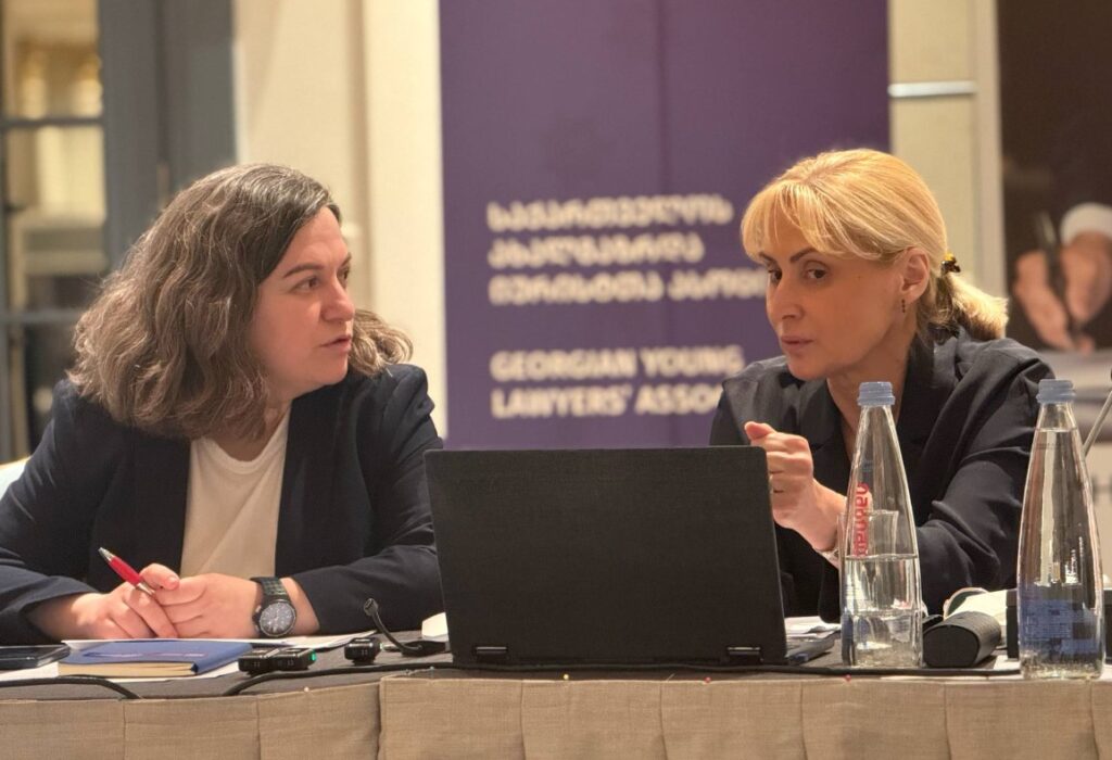 მზია ამაღლობელის ადვოკატები სააპელაციოს ადმინისტრაციული საქმის შეწყვეტისკენ მოუწოდებენ