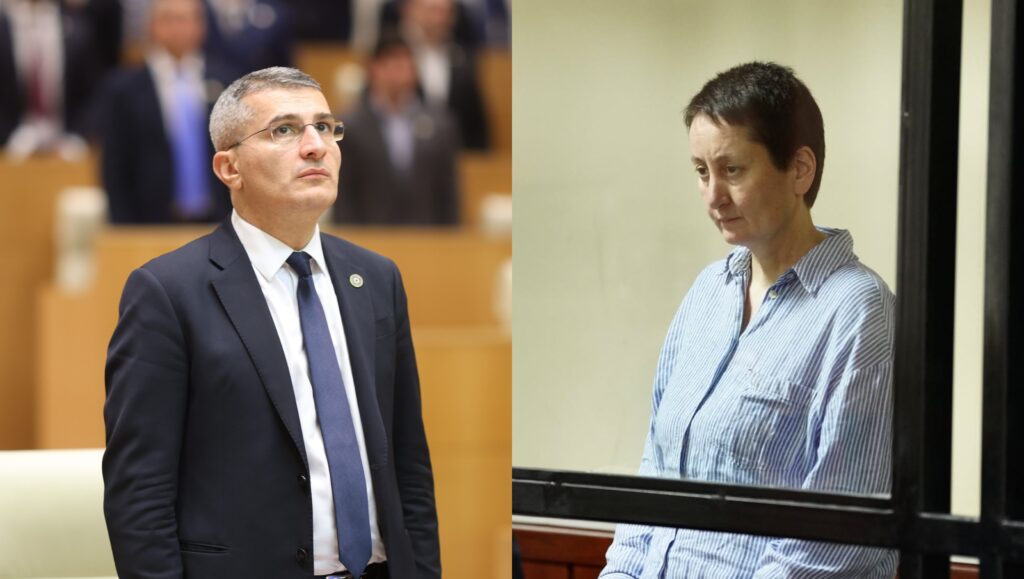 მდინარაძე: არა მხოლოდ მზია ამაღლობელი, სამწუხაროდ, ყველა სხვაც დავალებით მოქმედებს