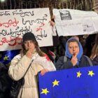 სოცმუშაკთა პროფკავშირი სოციალური მუშაობის მაძიებლის ინსტიტუტს დამაზიანებლად მიიჩნევს
