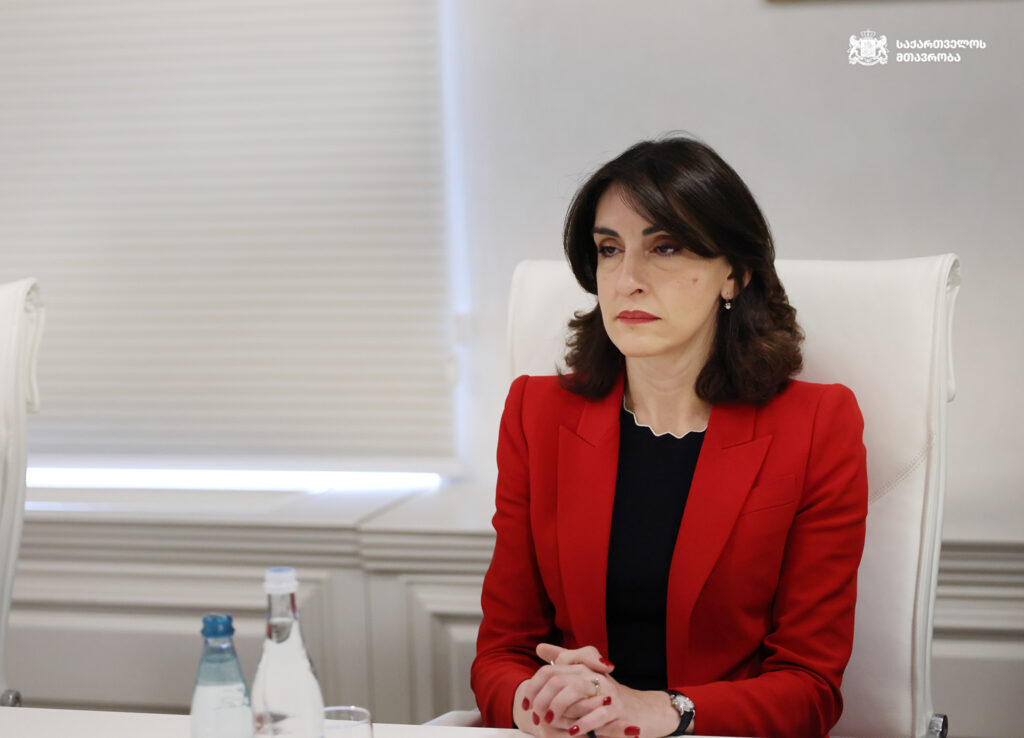 „ელჩები საყვედურისთვის არ დაგვიბარებია, დავიბარეთ, რომ მიგვეწოდებინა ობიექტური ინფორმაცია“ - ბოჭორიშვილი