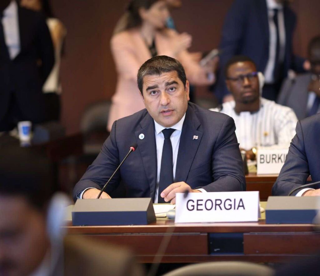 შალვა პაპუაშვილი: ბრიუსელს აქვს საბავშვო ბაღის დონის საგარეო პოლიტიკა 