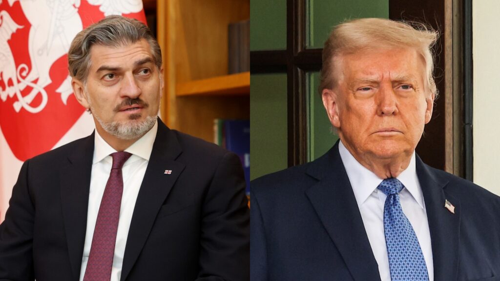 ყაველაშვილი ტრამპს: აღადგინეთ პარტნიორობა პუტინთანაც კი, თუმცა თქვენი ადმინისტრაცია არაფერს ამბობს საქართველოზე