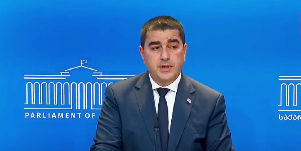 პაპუაშვილმა ჩამოთვალა პარტიები, რომელთა აკრძალვის მოთხოვნით საკონსტიტუციოს მიმართავს