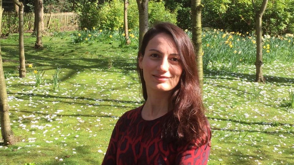 მაია ჩანქსელიანი: „ოცნების" დაგეგმილი ცვლილებები განათლებაში საფრთხეს უქმნის მიღწეულ პროგრესს