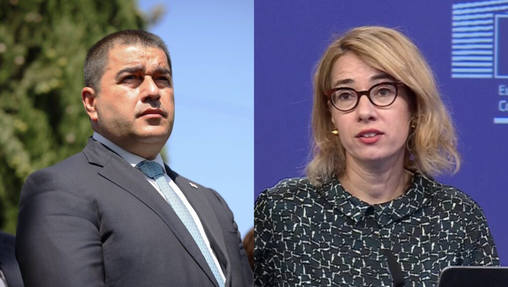შალვა პაპუაშვილი კიდევ ერთხელ დაესხა თავს ევროკომისიის პრესსპიკერს, ანიტა ჰიპერს