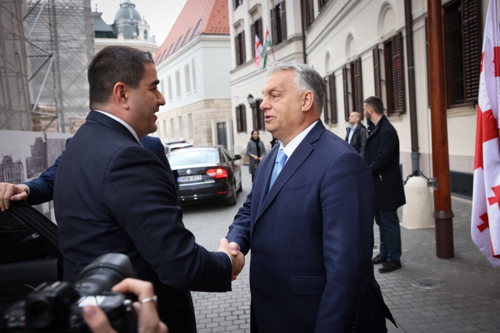 პაპუაშვილს მიაჩნია, რომ „თბილისის ქუჩის ომების უკან ბრიუსელი დგას"