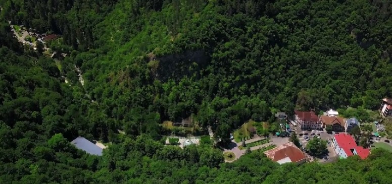 კობახიძის განკარგულებით, ტყის სტატუსი შეუწყდა აღაიანისა და ბორჯომის ტყეების ნაწილს და იყიდება