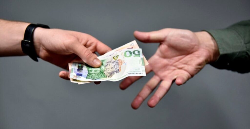 „ქართული ოცნების“ კორუფციული სქემები – როგორ იპარავენ ხალხის ფულს — TI-ის მოკვლევა