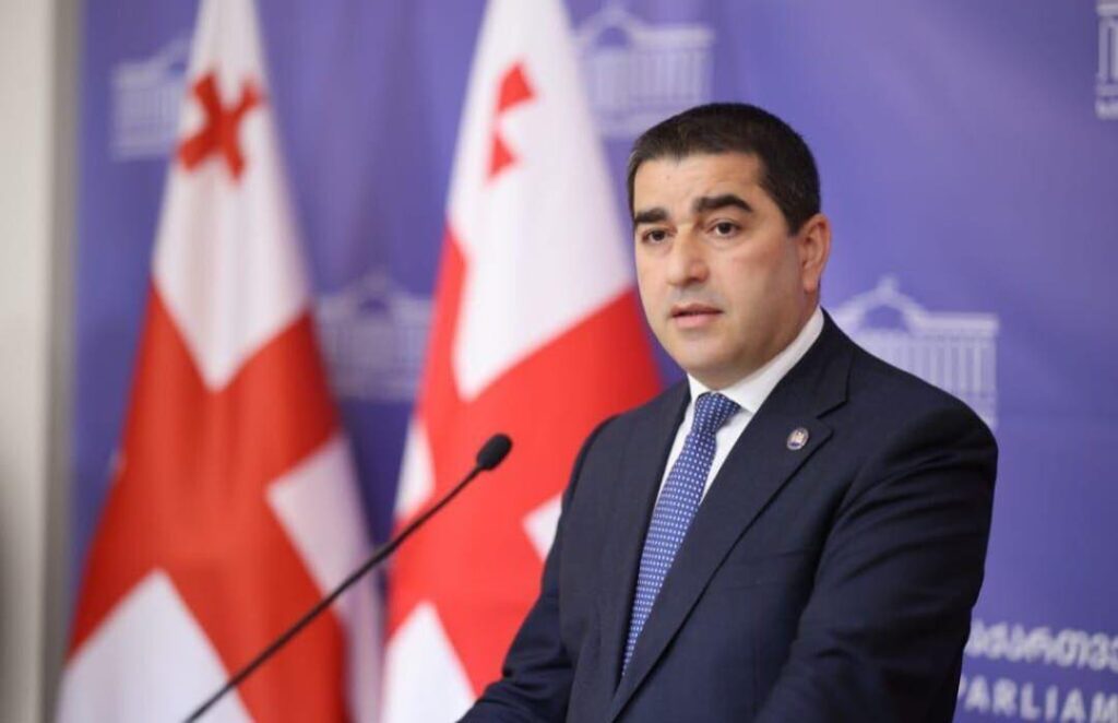 პაპუაშვილი: NATO-ს ღია კარი ემსგავსება სახედრის წინ ჩამოკიდებულ სტაფილოს