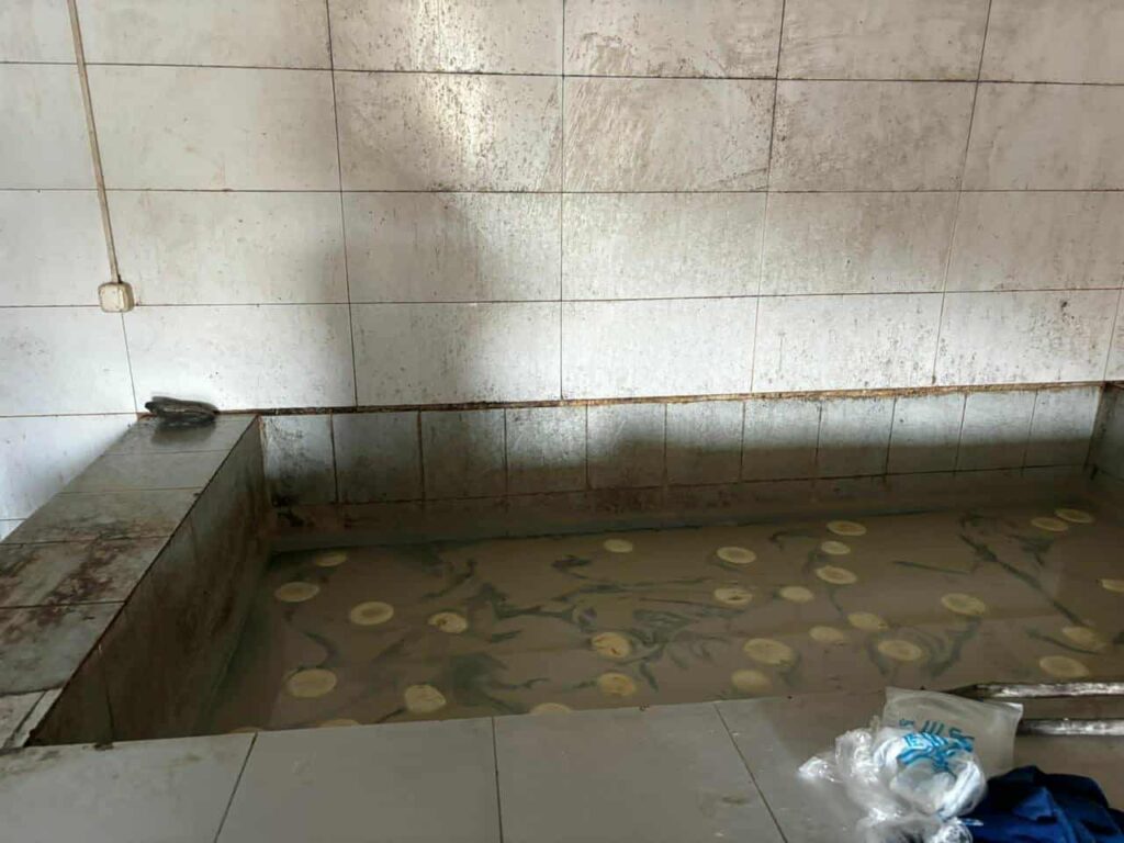 სეს-ის ცნობით, კახეთში ყველის არარეგისტრირებული საწარმო გამოავლინეს