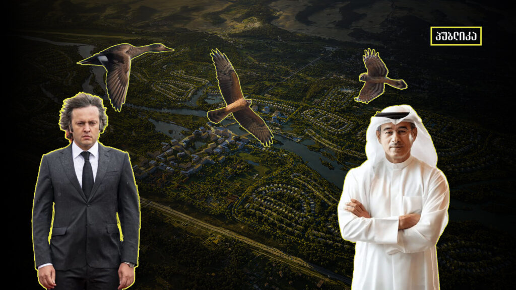 14 ამბავი „არნახულ არაბულ ინვესტიციაზე“