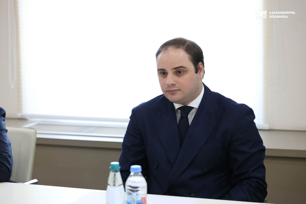 ჟორჟოლიანი: დავაფუძნეთ ცენტრალიზებული შესყიდვების სააგენტო, მომავალი წლის მეორე ნახევრიდან ამოქმედდება