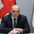 დარახველიძე: „არანაირი „კამიტი“ შსს-ს არ შეუძენია, არ გამოუყენებია, ასეთი არც არსებობს ჩვენს სარგებლობაში“