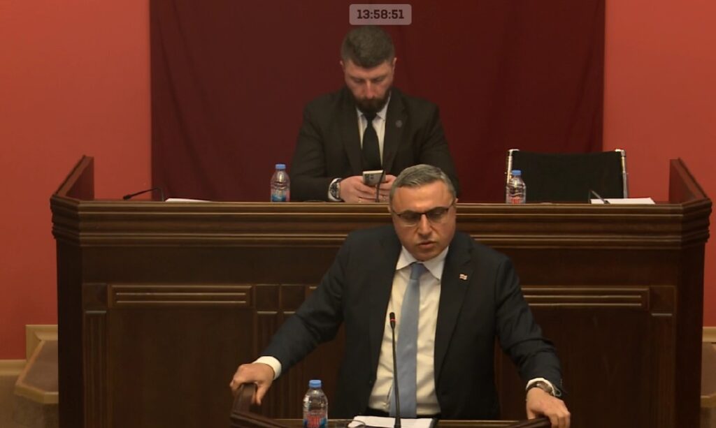 მათიკაშვილი: ერთადერთი გარემო, სადაც შესაძლებელია პოლიტიკური მდგენელის სწორად გააზრება, სამშობლოა