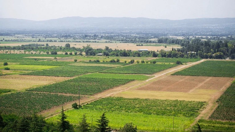 2026 წელს სახელმწიფო მიწის სპორადულ რეგისტრაციას განახორციელებს - „ოცნების“ პარლამენტმა კანონპროექტს I მოსმენით დაუჭირა მხარი