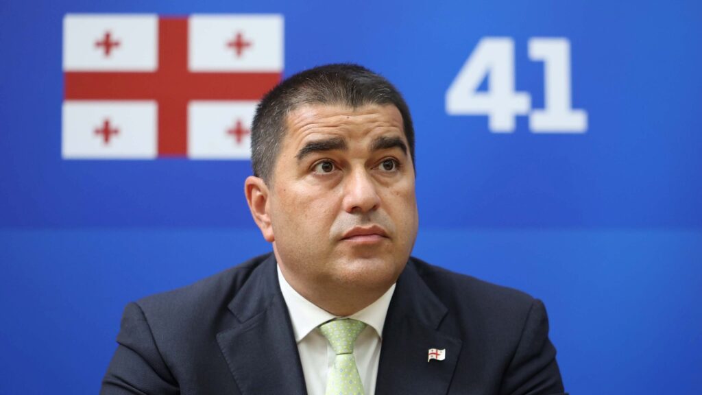 პაპუაშვილი დებატებზე: ოპონენტებად ვაღიარებთ მათ, ვინც კონსტიტუციურ წესრიგს აღიარებს