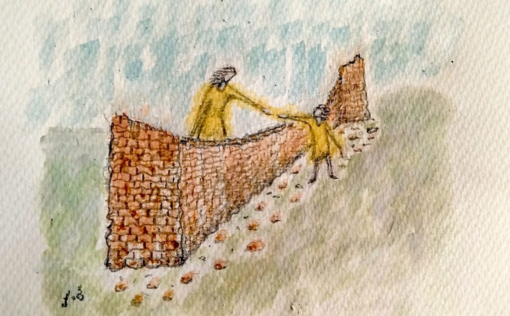 PHR: CRPD მთავრობას ბავშვთა ქორწინების მსხვერპლი ქალისა და მისი შვილის უფლებების დაცვისკენ მოუწოდებს