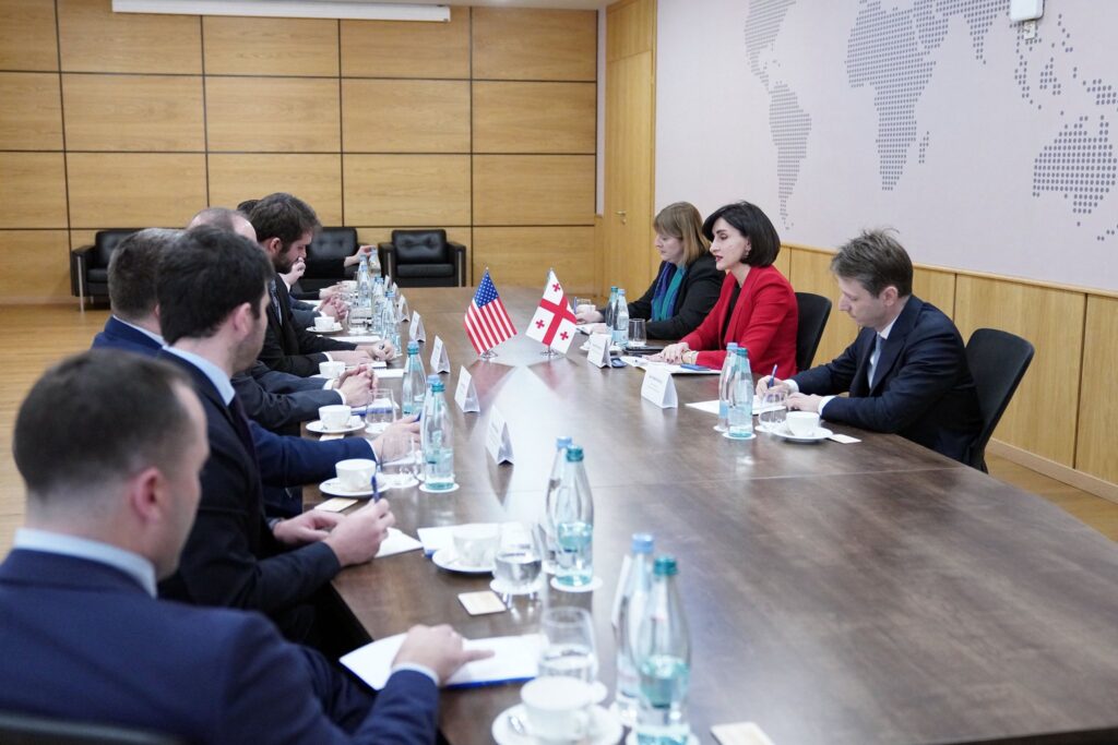 ბოჭორიშვილი აშშ-ის კონგრესის თანამშრომელთა დელეგაციას შეხვდა