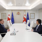 ირაკლი კობახიძე საქართველოში საფრანგეთის ელჩს შეხვდა