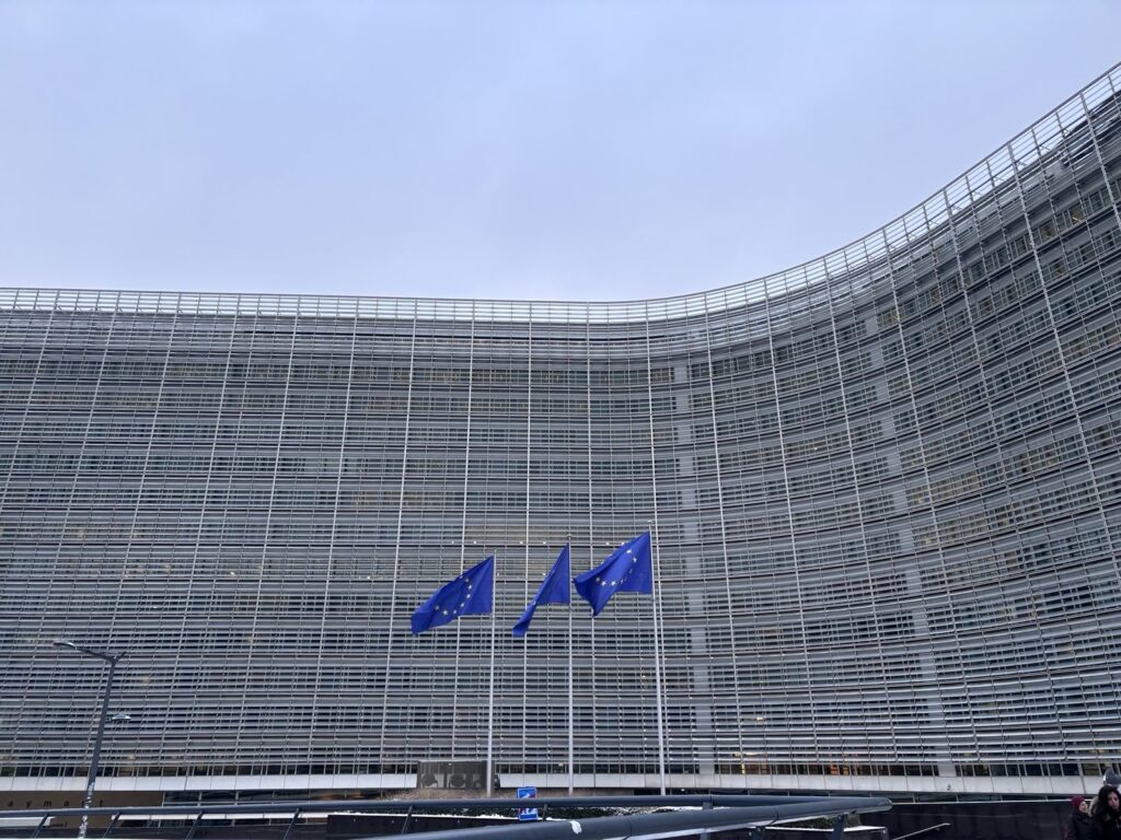 ევროკომისიამ საბოლოოდ შეაჩერა უვიზო მიმოსვლა დიპლომატიური პასპორტის მფლობელებისთვის