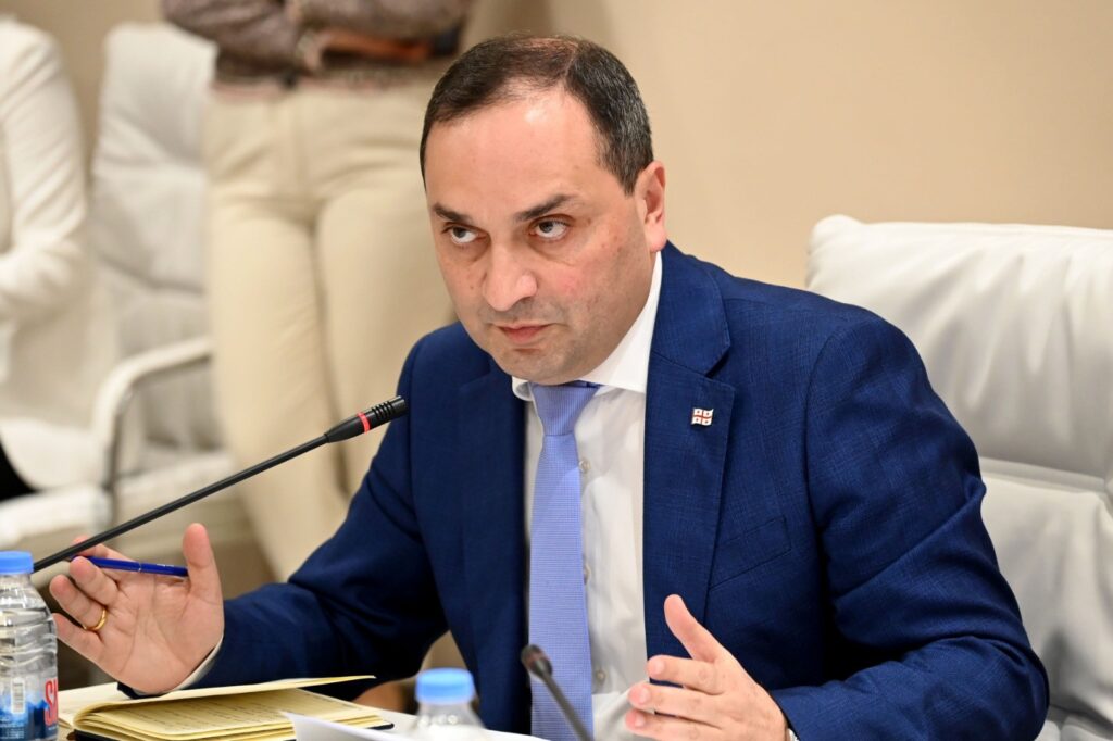 გაბისონია: სტუდენტთა მისაღები კვოტები ყოველწლიურად გადაითველბა, ეკონმიკის სამინისტრო შრომის ბაზართან დაადარებს