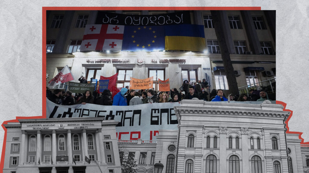 რა უძრავ ქონებას ფლობენ სახელმწიფო უნივერსიტეტები