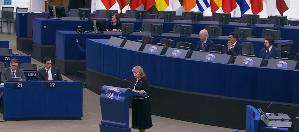 „საქართველოს EU-ის წევრობის რეალური გზა არ გააჩნია არც 2030 და არც საერთოდ“ - რა თქვეს ევროპარლამენტში საქართველოს შესახებ დებატებზე