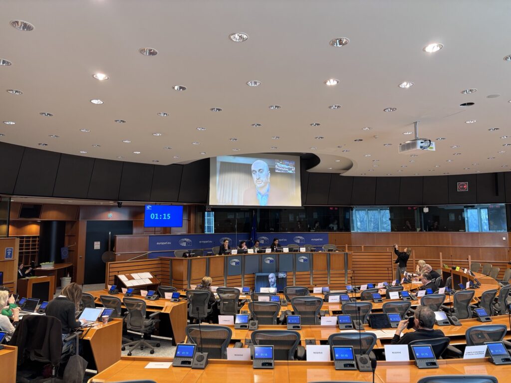 ევროპარლამენტის კომიტეტზე საქართველოს საკითხი განიხილეს — რა განცხადებები გაკეთდა