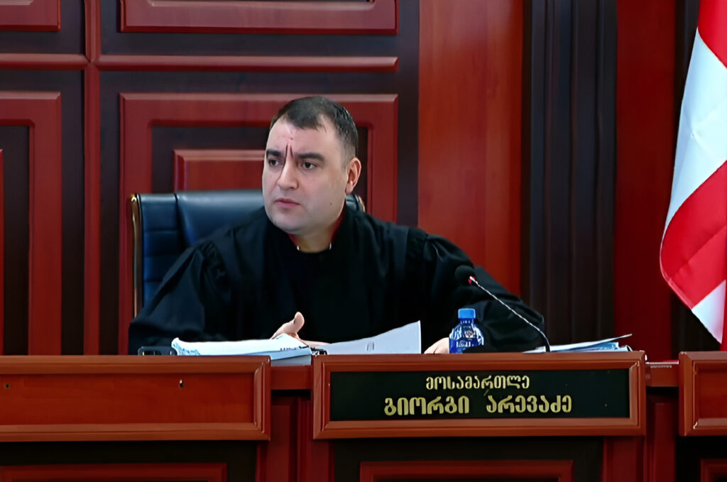 ვინ არის მოსამართლე გიორგი არევაძე, რომელმაც ელენე ხოშტარიას ბანერის დაზიანების გამო პატიმრობა მიუსაჯა