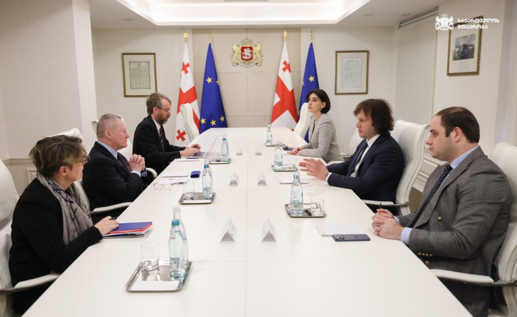 ირაკლი კობახიძე და მაკა ბოჭორიშვილი ევროსაბჭოს ადამიანის უფლებათა დაცვის კომისარს შეხვდნენ