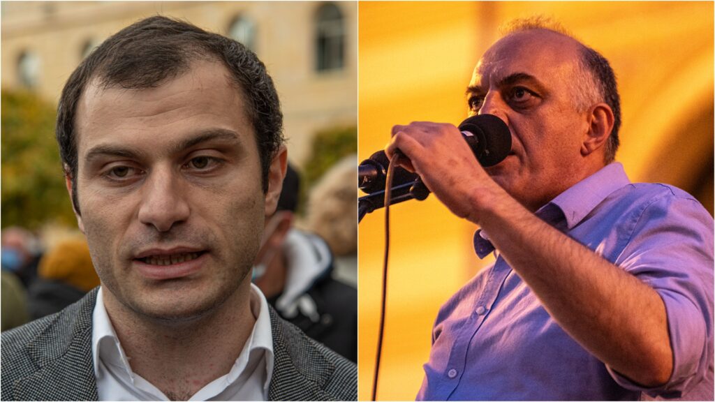 „ოქსიმორონია არა ,,მშვიდობიანი დამხობა”, არამედ მშვიდობიანი პროცესის ძალადობრივად შეფასებაა" | ბექა ბასილაიას დასკვნითი სიტყვა