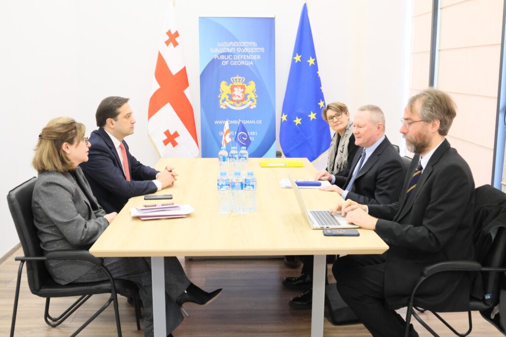ლევან იოსელიანი ევროსაბჭოს ადამიანის უფლებათა დაცვის კომისარ მაიკლ ო’ფლაერტს შეხვდა