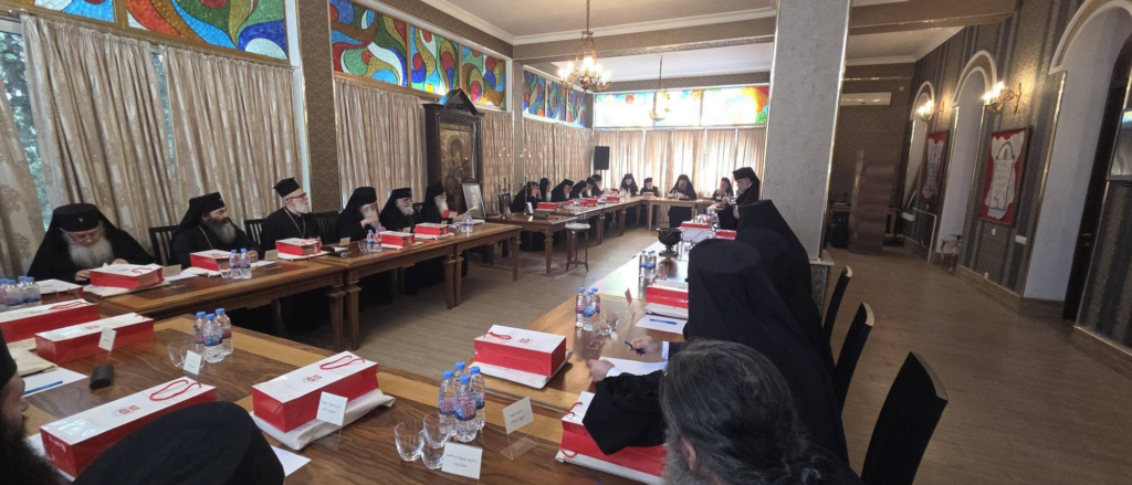 მსჯელობა კანდიდატების ასაკისა და განათლების დებულებაზე, კენჭისყრის შედეგი | რა წერია სინოდის ოქმში