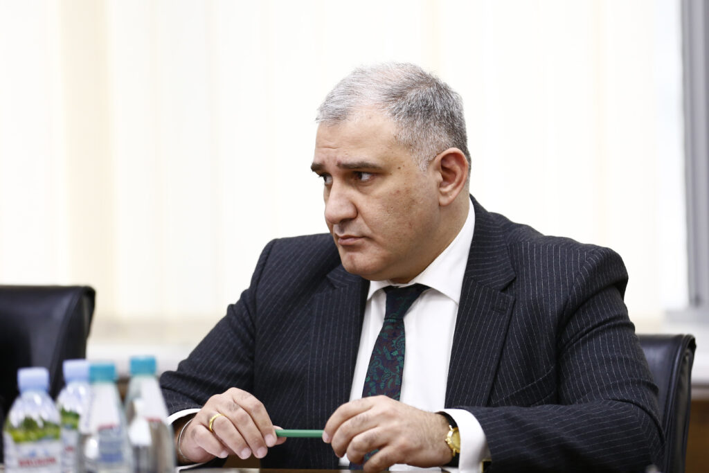 სარჯველაძე სოცდაუცველთა შემოწმებაზე: ვფიქრობთ, ამ წლის ბოლოსთვის მზად ვიქნებით, ახალი მეთოდოლოგიაც ვიქონიოთ
