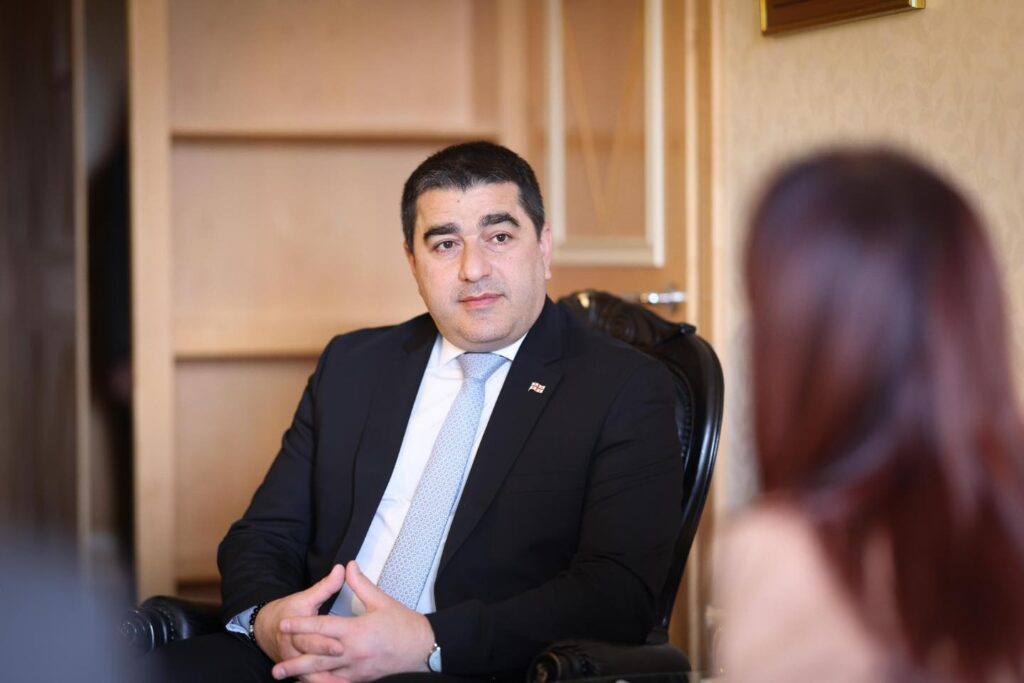 პაპუაშვილი ჰერჩინსკის: შესაძლოა, თავად ევროპა მიდიოდეს ბნელი წარსულისკენ