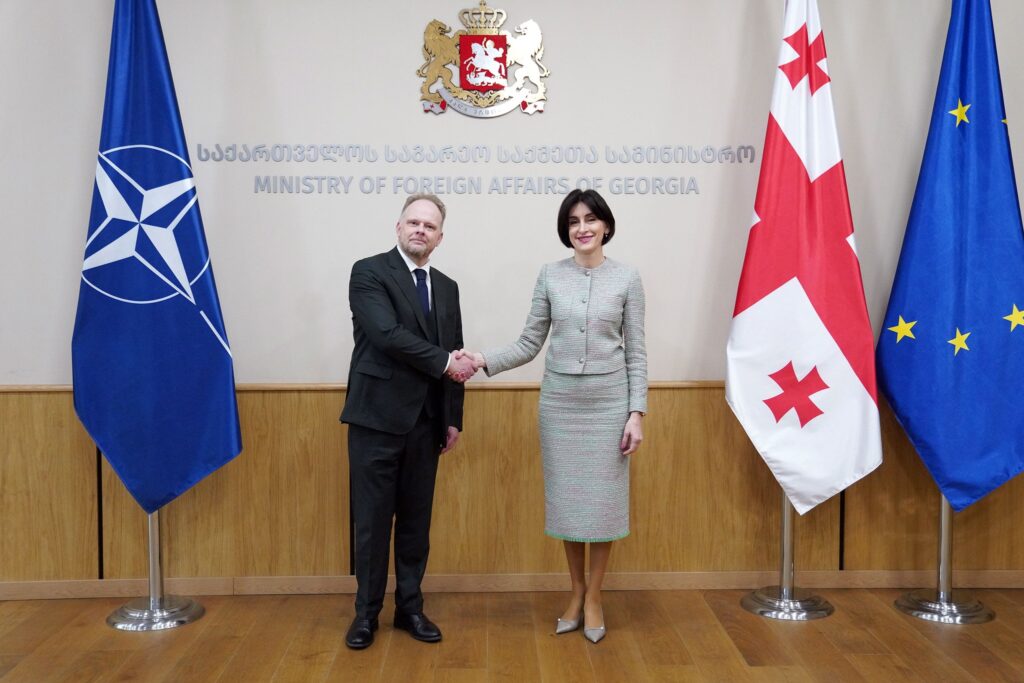 მაკა ბოჭორიშვილი შეხვდა NATO-ს სპეციალურ წარმომადგენელ კევინ ჰამილტონს