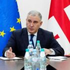 სარჯველაძე დიუშენის მედიკამენტზე: როცა რისკები შემცირებულია, ფასზე უკან არ დავიხევთ