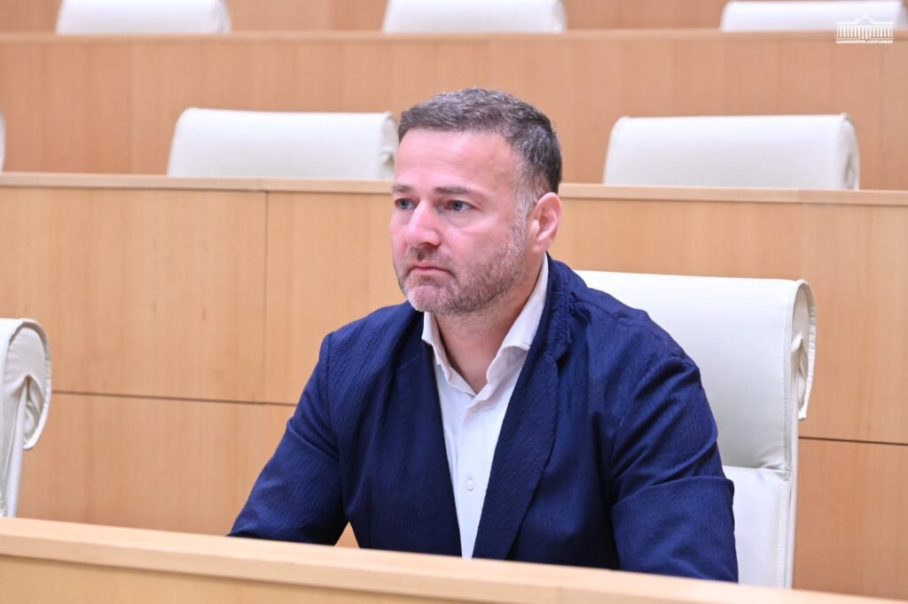 ჭეიშვილი: ხელისუფლება მზადაა „გამჭვირვალობის კანონსა“ და ნებისმიერ სხვა საკითხზე დიალოგისთვის