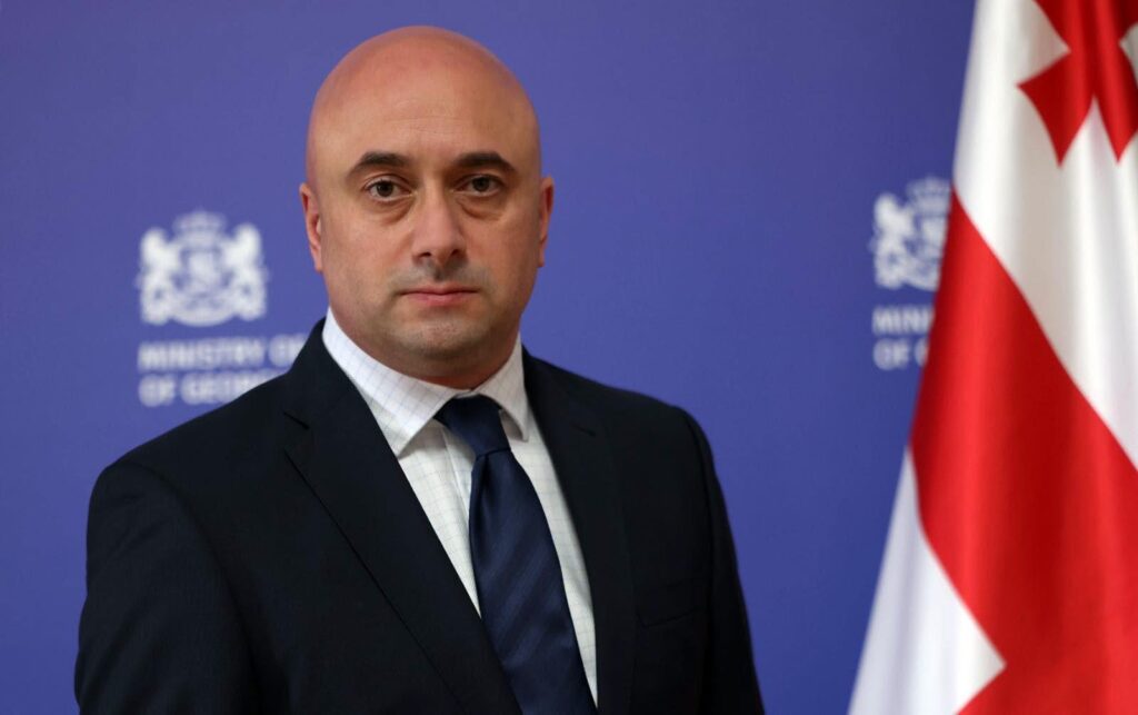 კულტურის მინისტრის მოვალეობის შემსრულებლად მიხეილ კიკნაძე დაინიშნა