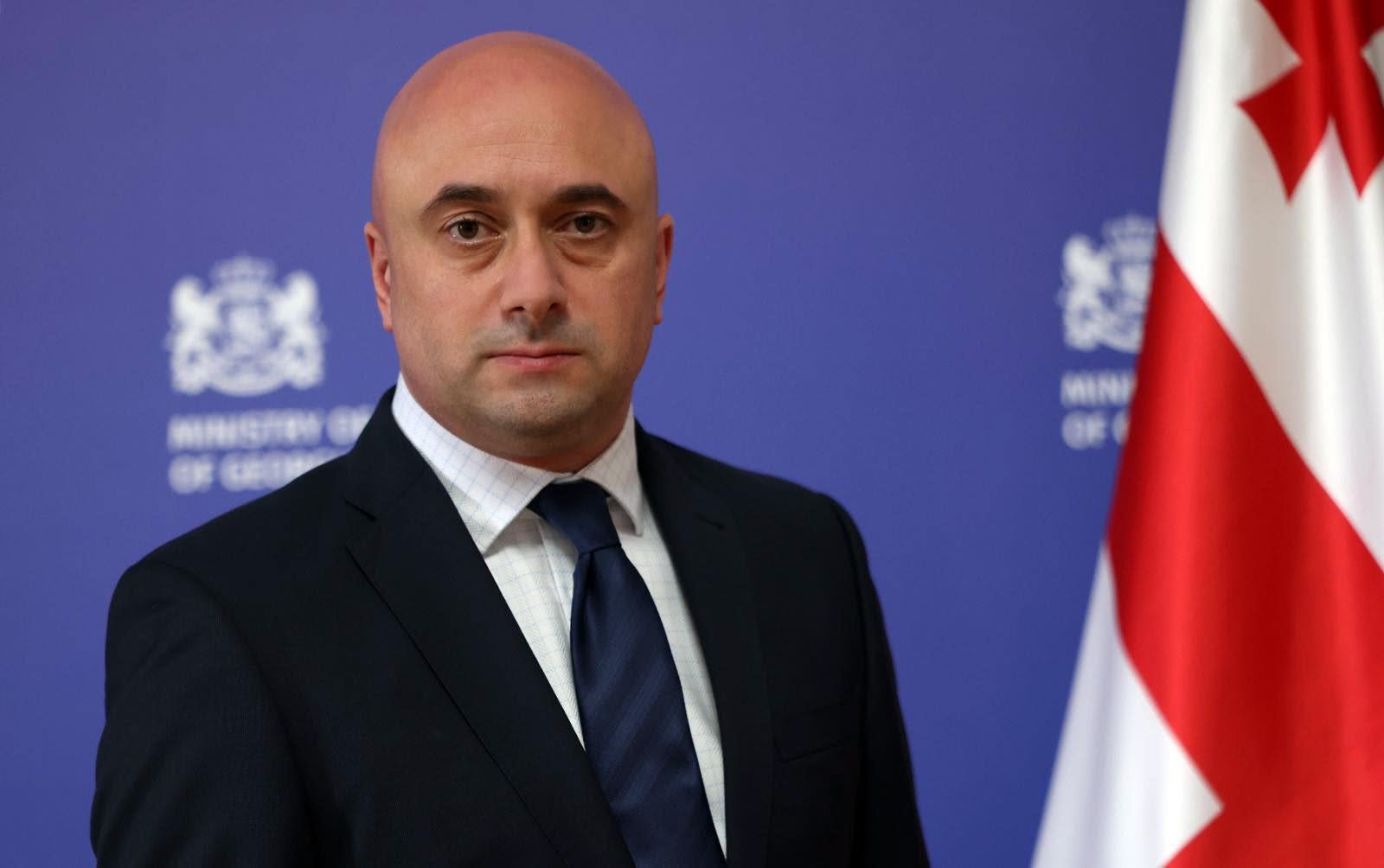 მიხეილ კიკნაძე კულტურის მინისტრის მოვალეობის შემსრულებლად დაინიშნა