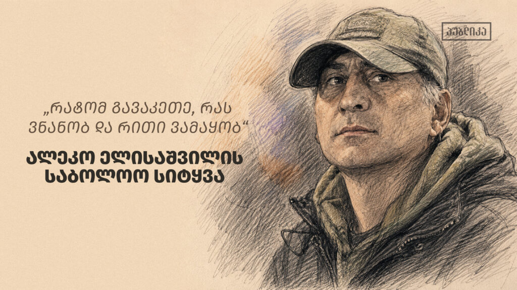 „რატომ გავაკეთე, რას ვნანობ და რით ვამაყობ" - ელისაშვილის საბოლოო სიტყვა პროცესზე