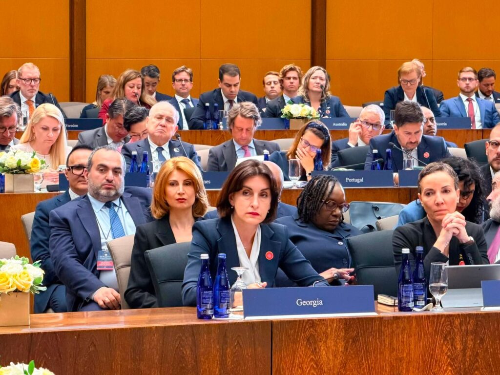 ბოჭორიშვილი ვაშინგტონში პოლიტიკური ტერორიზმის შესახებ მინისტერიალზე სიტყვით გამოვიდა