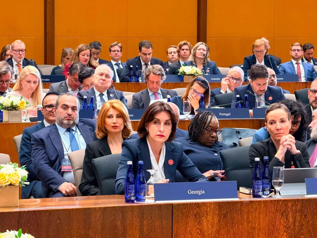 ბოჭორიშვილი ვაშინგტონში პოლიტიკური ტერორიზმის მინისტერიალზე გამოვიდა