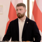 გორდულაძე „ეროვნული სიწმინდეების დამცველებზე“: მოლოდინებზე ვერ ვისაუბრებ