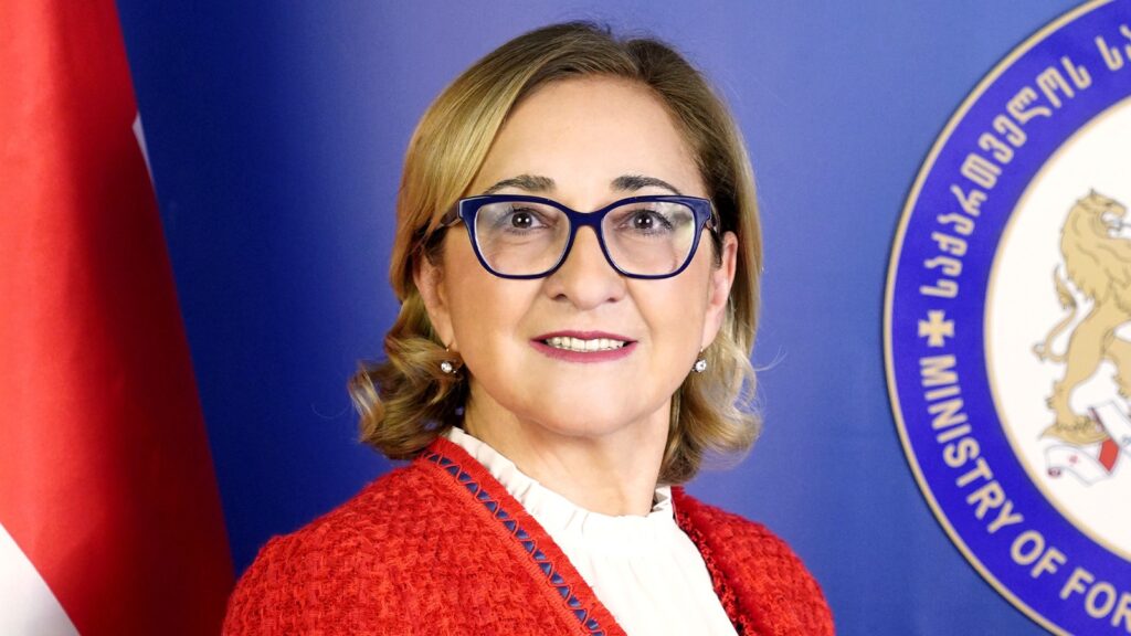 დიპლომატიის აკადემიის რექტორის თანამდებობაზე თამარ ბერუჩაშვილი დაინიშნა